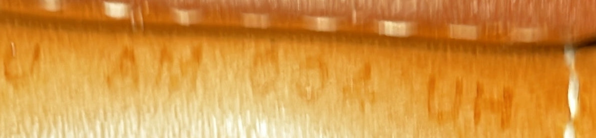 Odyssee Terre Duffle Bag Canvas with Leather