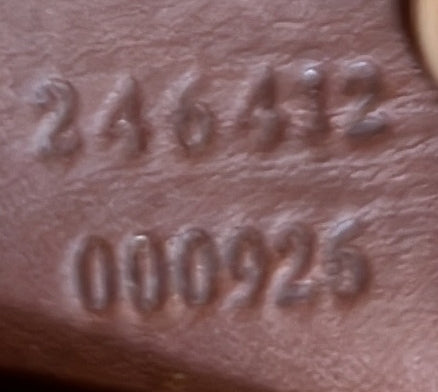 Web Loop Flat Messenger GG Coated Canvas Large