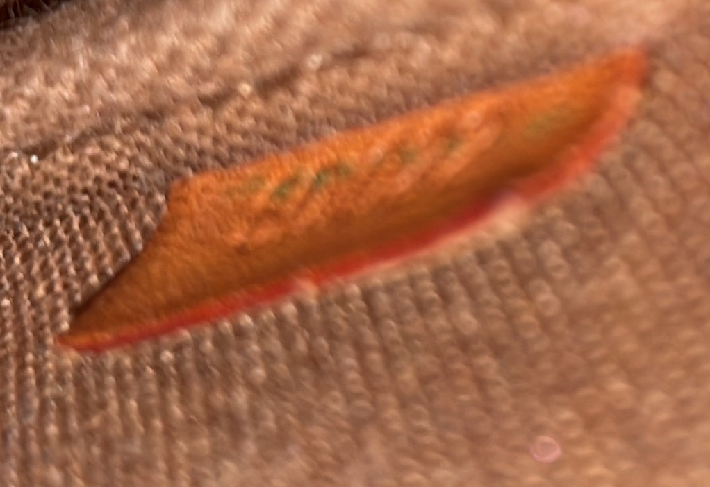 Pochette Accessoires NM Monogram Canvas