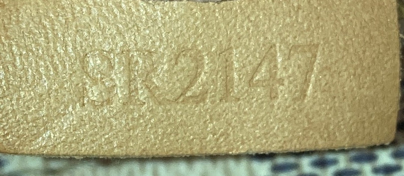 Sperone Backpack Damier BB