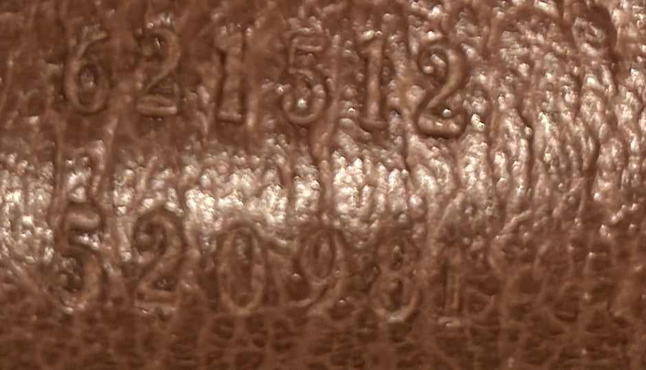 Dionysus Top Handle Chain Bag GG Coated Canvas Small