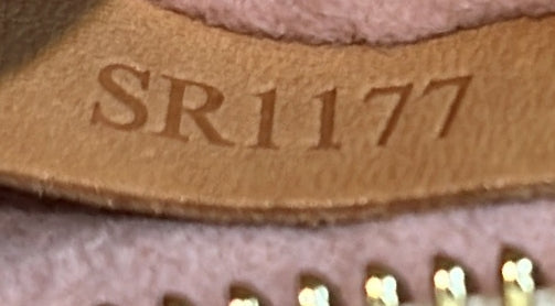 Sperone Backpack Damier BB