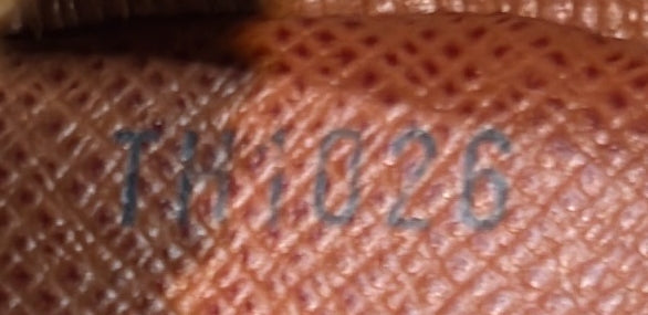 Amazone Bag Monogram Canvas