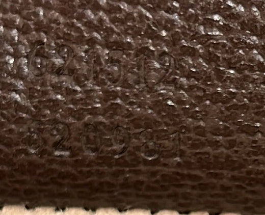 Dionysus Top Handle Chain Bag GG Coated Canvas Small