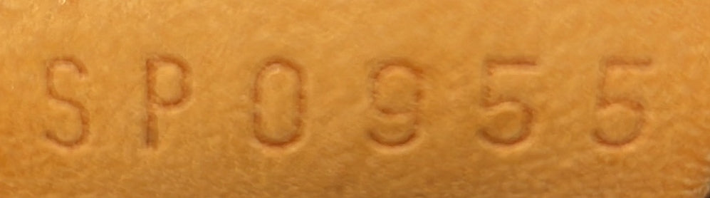 Keepall Bandouliere Bag Monogram Canvas 60