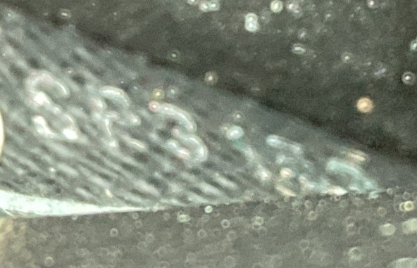 Twist Belt Wallet on Chain Epi Leather