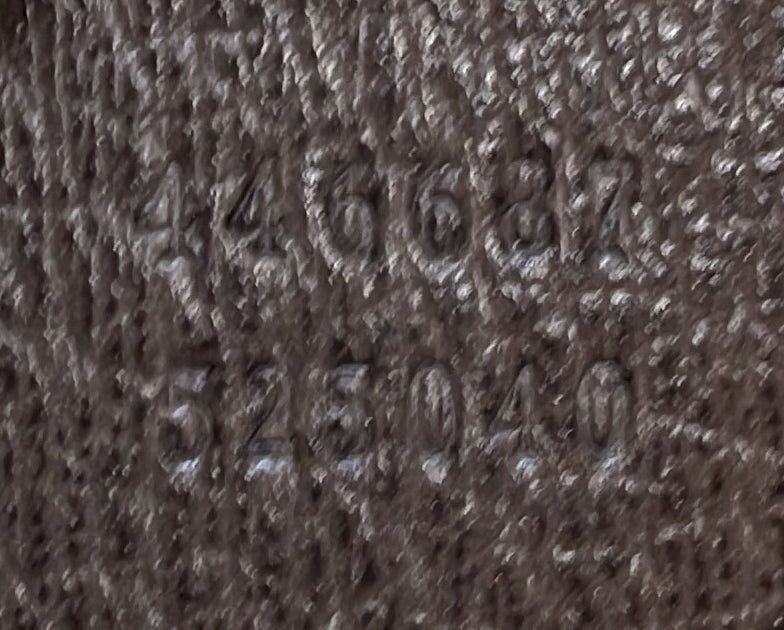 Dionysus Hobo GG Coated Canvas Medium