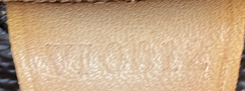 Cabas Piano Monogram Canvas