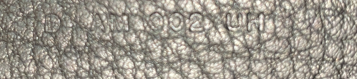 Vertige Tote Leather