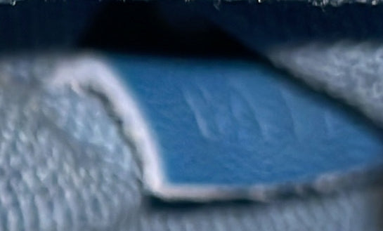 Michael NM Backpack Damier Infini Leather