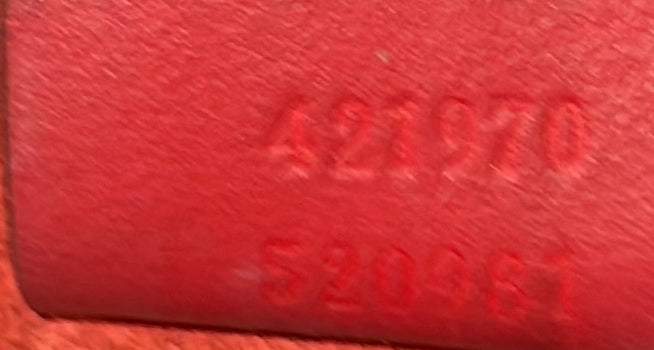 Dionysus Bag GG Coated Canvas Mini