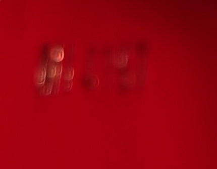 Capucines Bag Leather BB