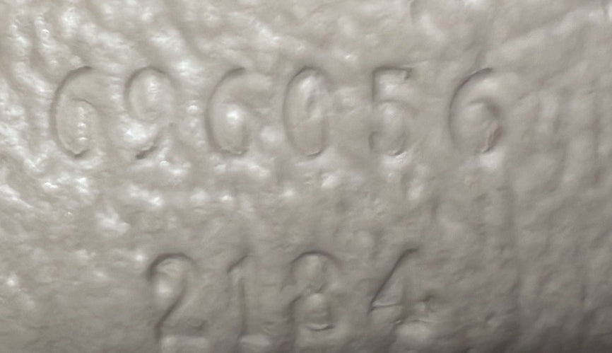 Ophidia Vertical Flap Crossbody Bag GG Coated Canvas Mini