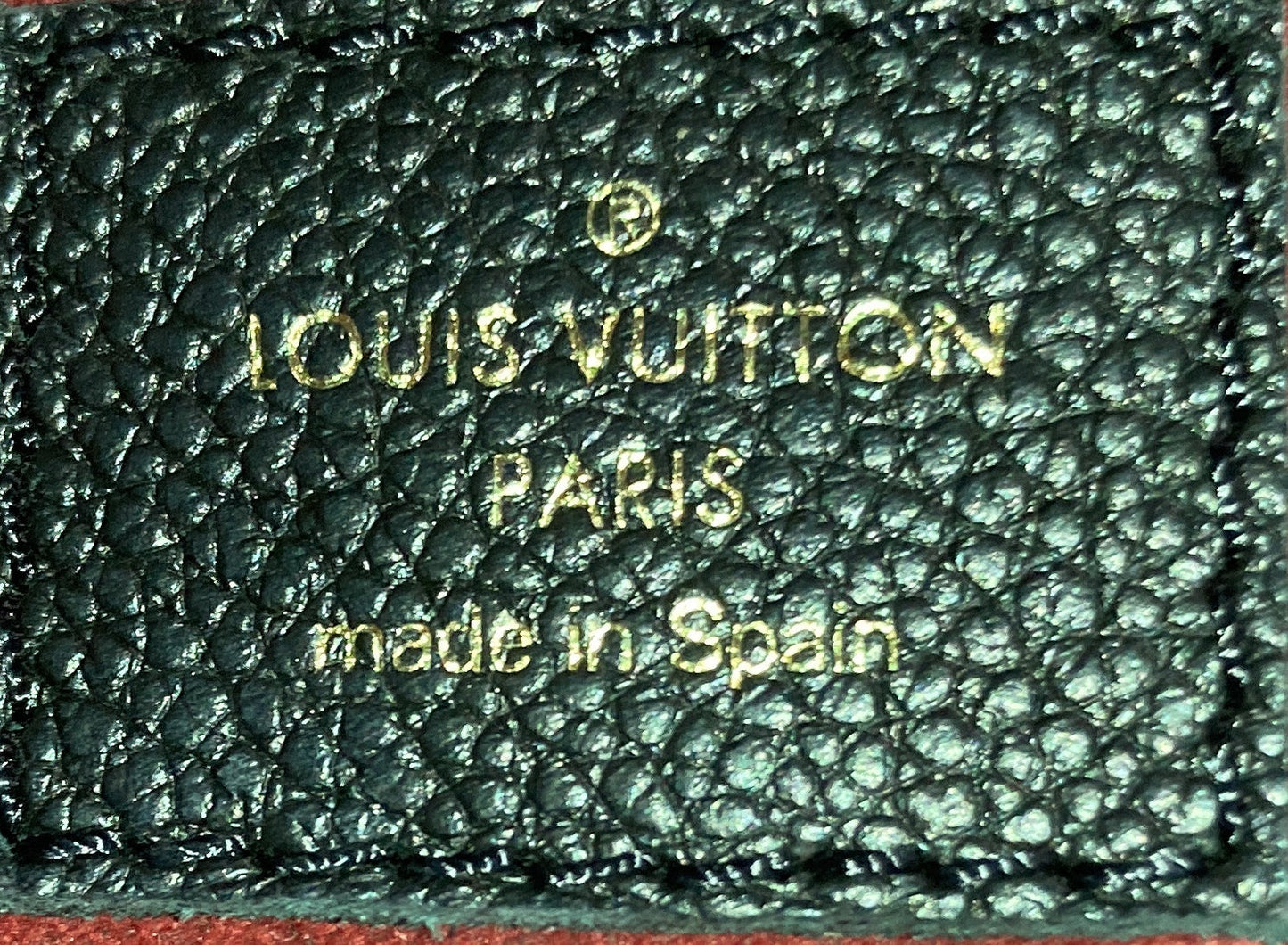 Petit Palais Handbag Monogram Empreinte Giant