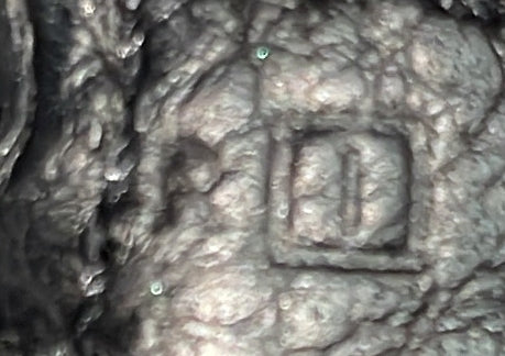 Evelyne Bag Gen II Clemence PM