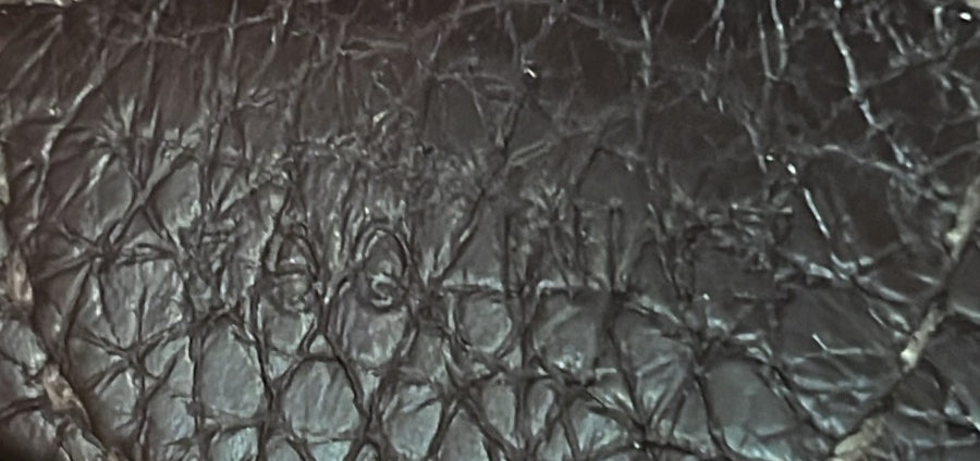 Evelyne Bag Gen III Clemence PM