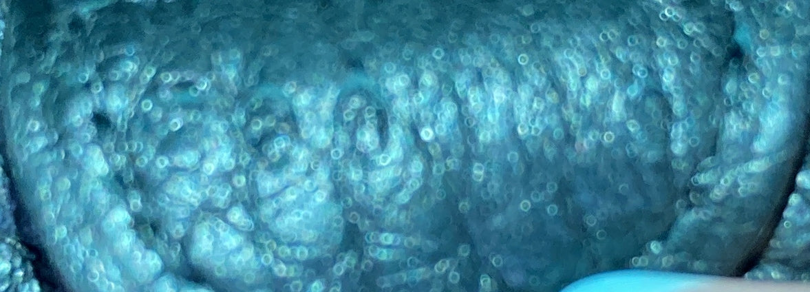 Evelyne Bag Gen III Clemence TPM