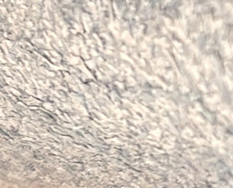 Evelyne Bag Gen II Clemence PM