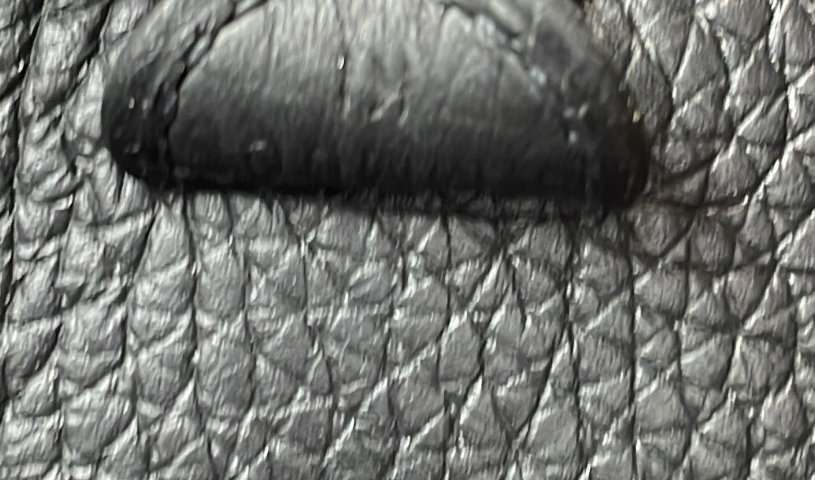 Evelyne Bag Gen III Clemence TPM