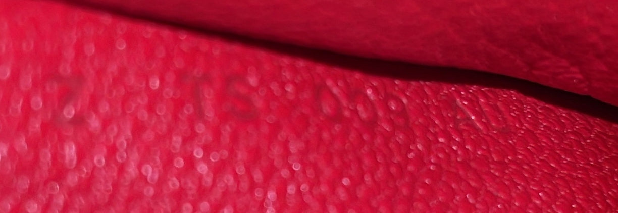 Strap Card Holder Evercolor