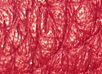 Evelyne Bag Gen III Epsom PM