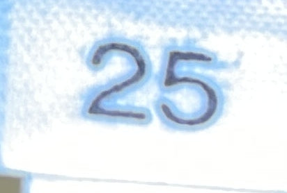 Adjustable Handle Zip Hobo Saffiano Leather Mini