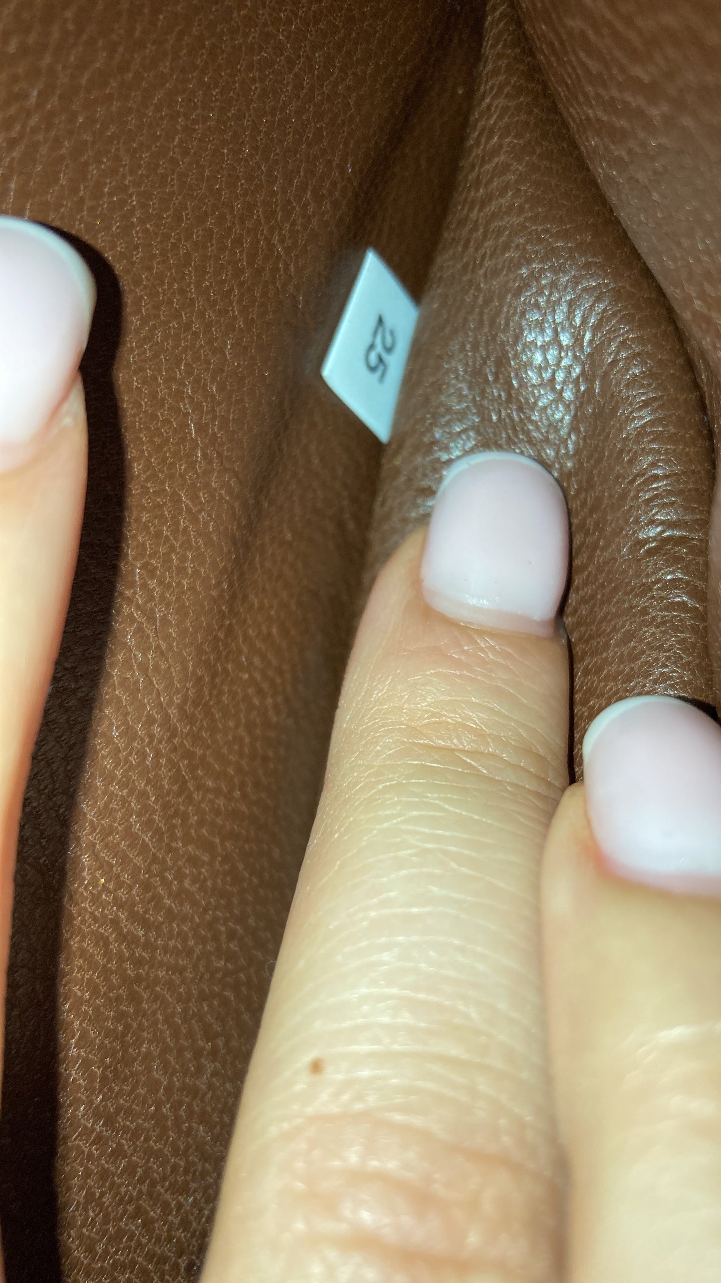 Cahier Crossbody Bag Straw and Leather with Ostrich Small