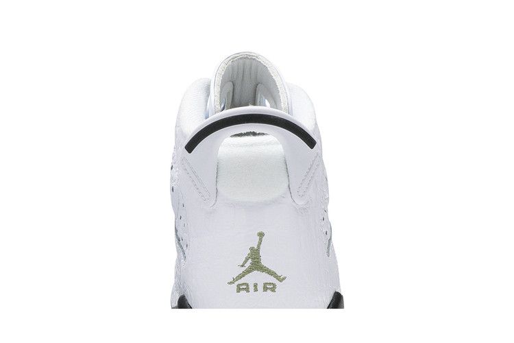 Jordan 6 Retro Alligator (GS)