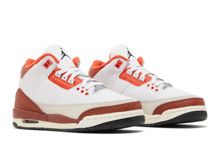 Jordan 3 Retro SE Dunk on Mars (GS)