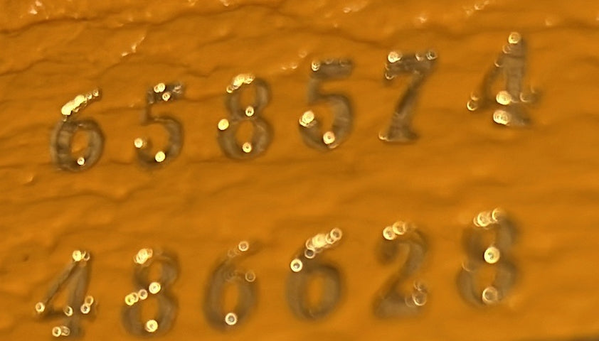 x Adidas Horsebit 1955 Shoulder Bag Leather Mini