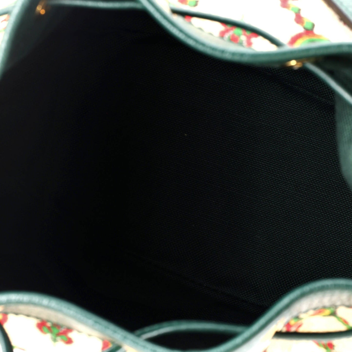 100 Ophidia Bucket Bag Limited Edition Canvas