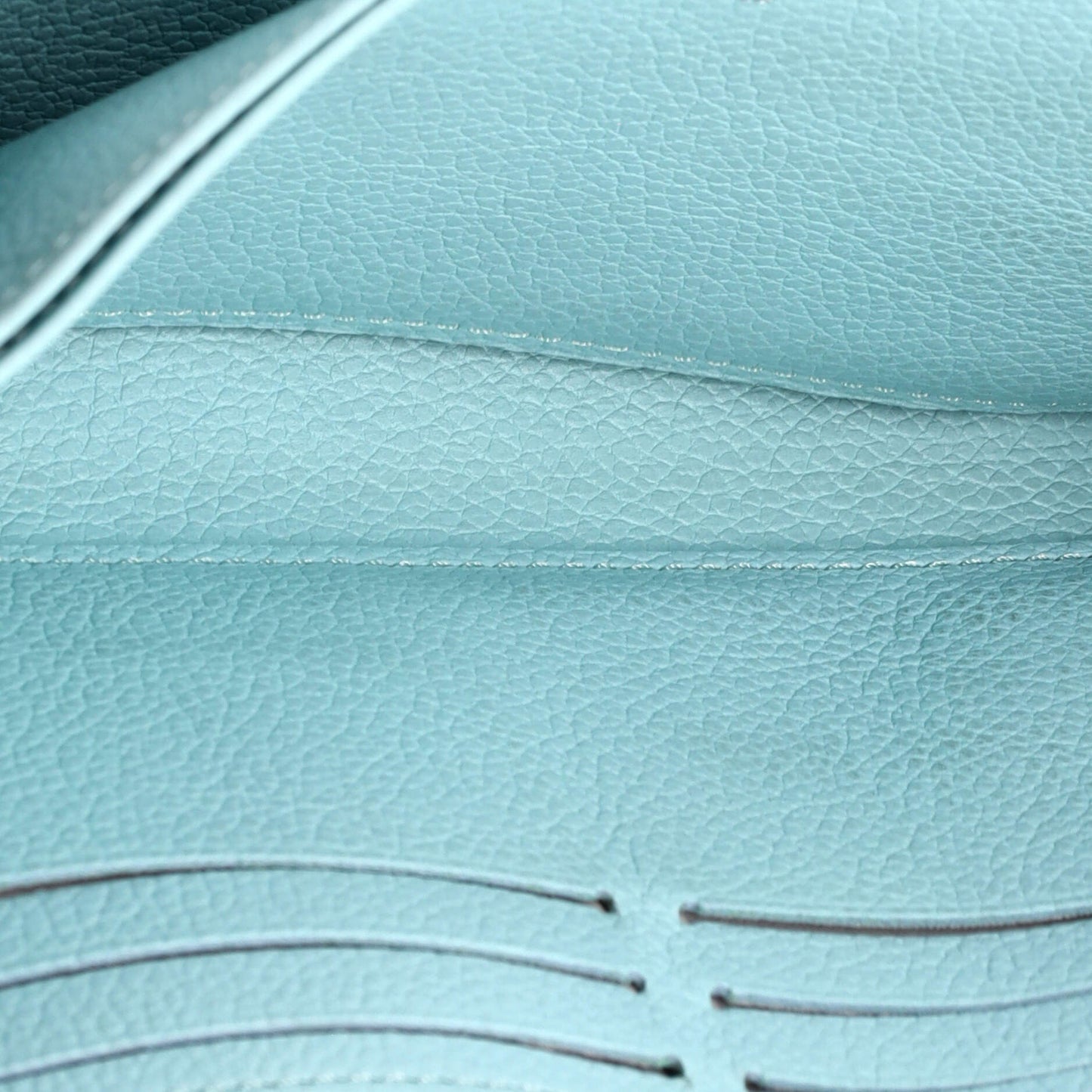 Zippy Wallet Stardust Monogram Empreinte Leather