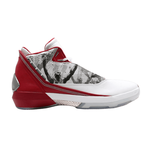 Jordan 22 OG Omega