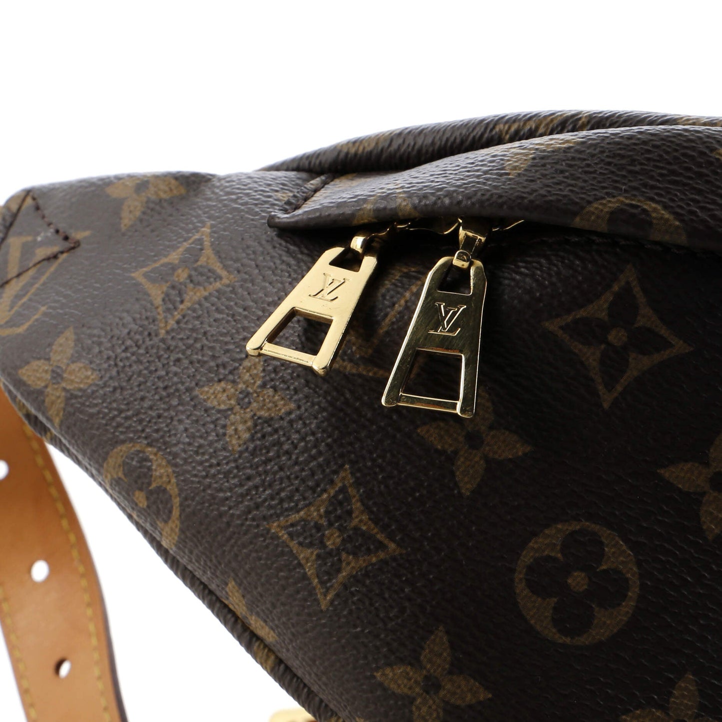 Bum Bag Monogram Canvas