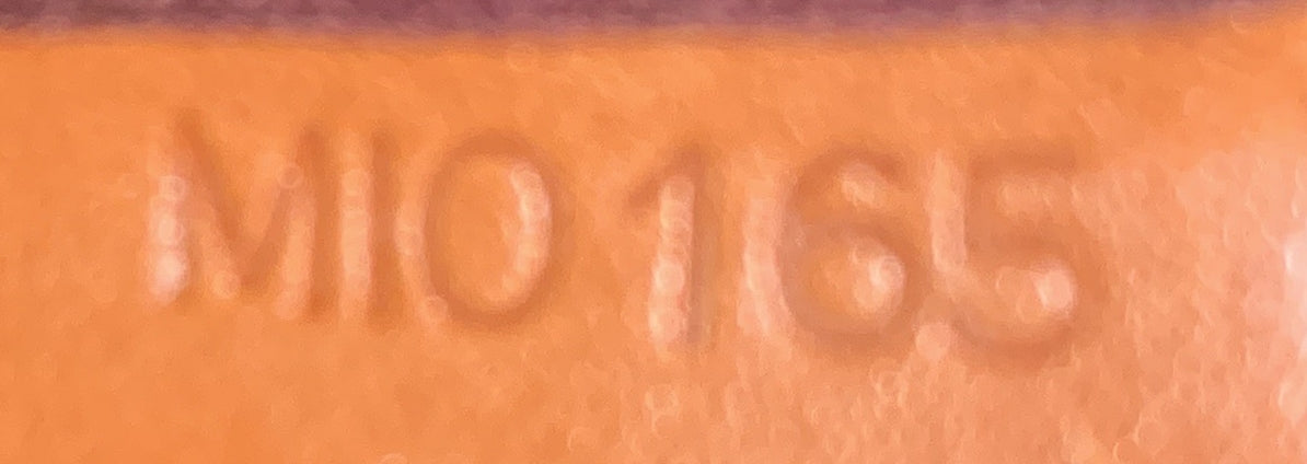 Favorite Handbag Monogram Canvas PM