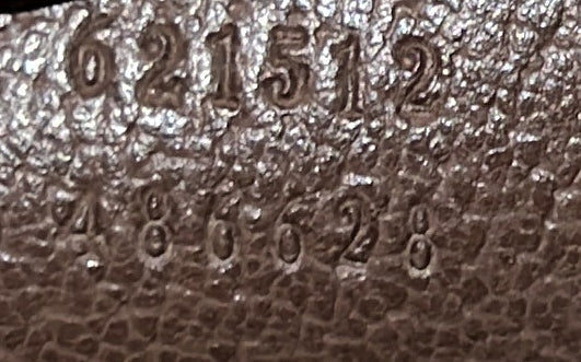 Dionysus Top Handle Chain Bag GG Coated Canvas Small