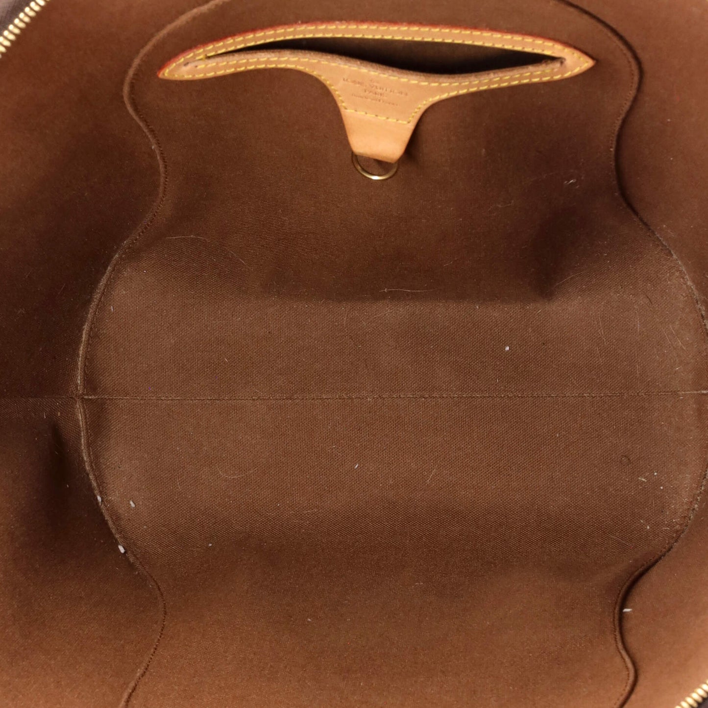 Ellipse Bag Monogram Canvas GM