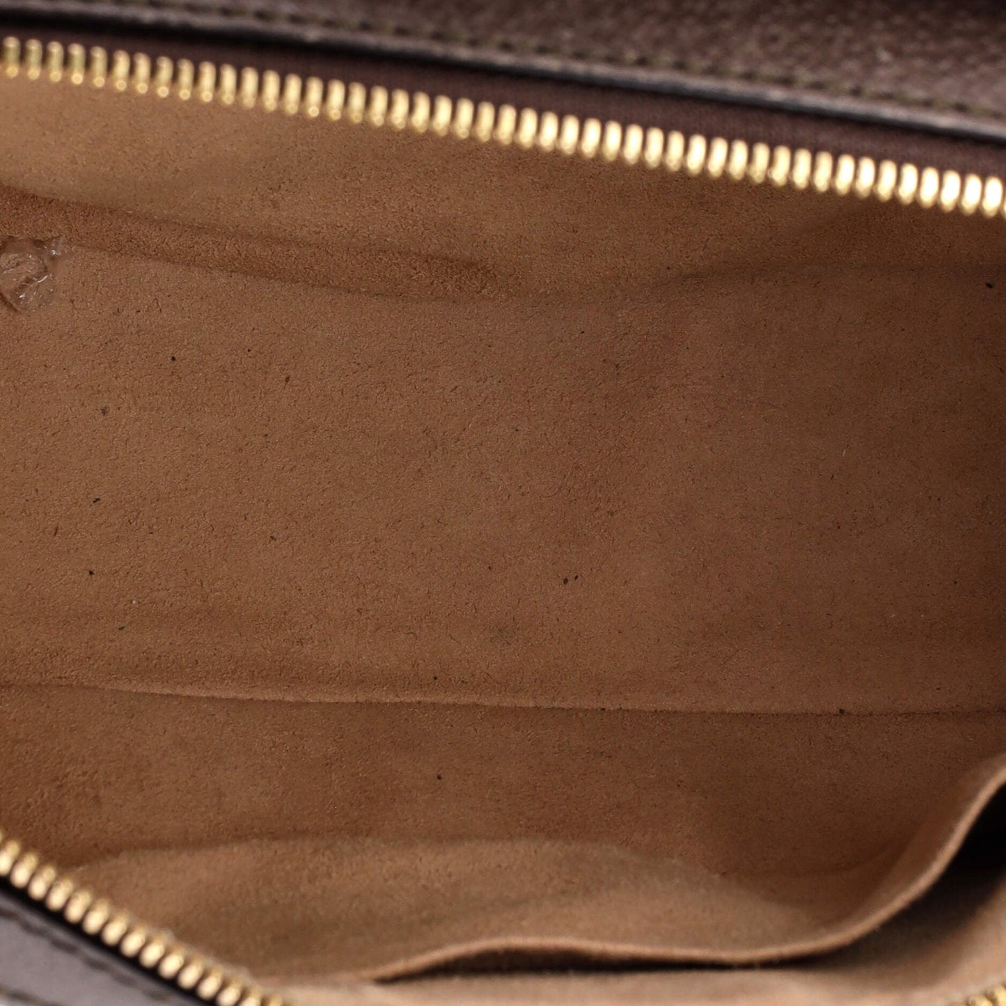 Ophidia Zip Around Camera Bag GG Coated Canvas Small