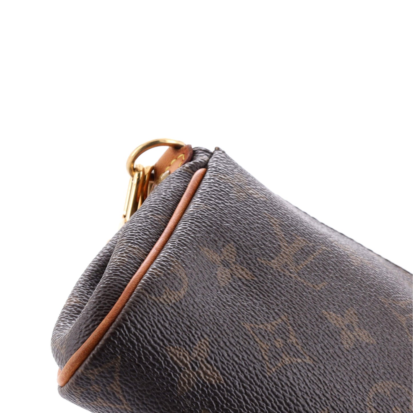 Eva Handbag Monogram Canvas