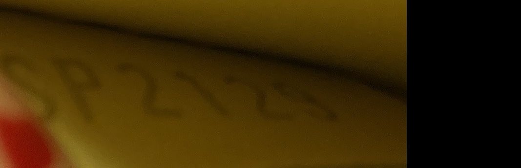 Dauphine Shoulder Bag Damier Monogram LV Pop Canvas Mini