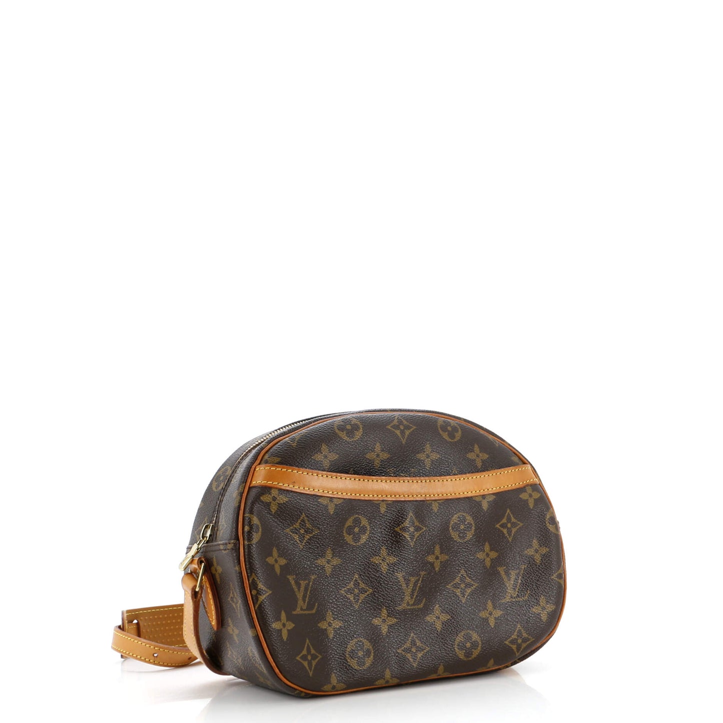 Blois Handbag Monogram Canvas