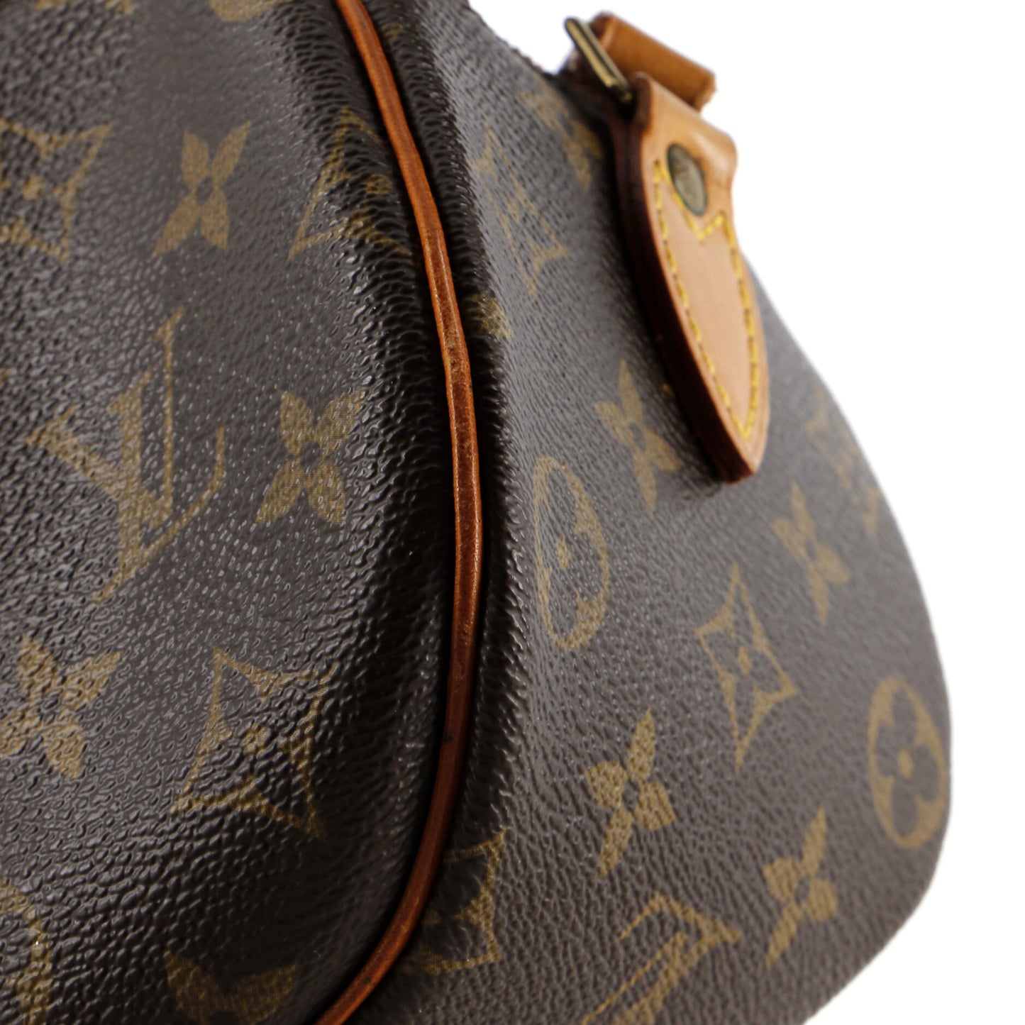 Blois Handbag Monogram Canvas