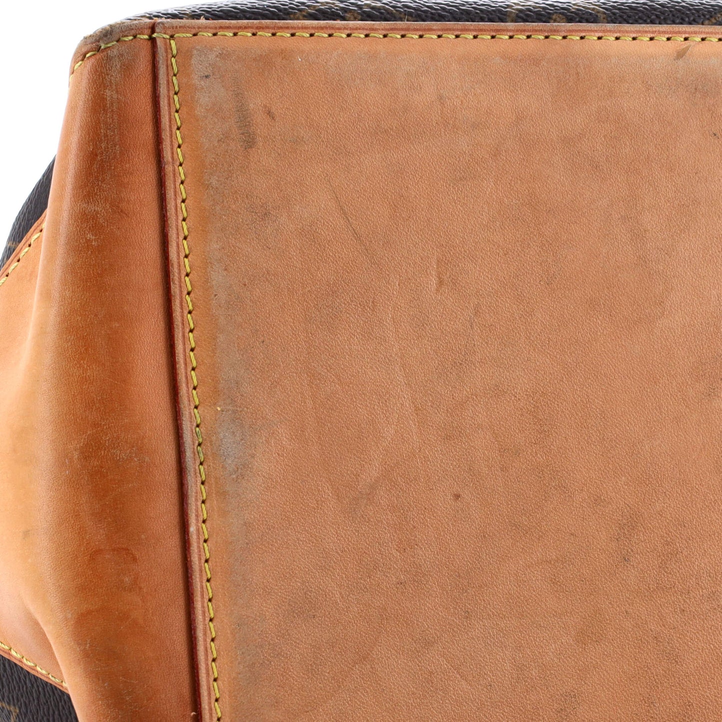 Luco Handbag Monogram Canvas