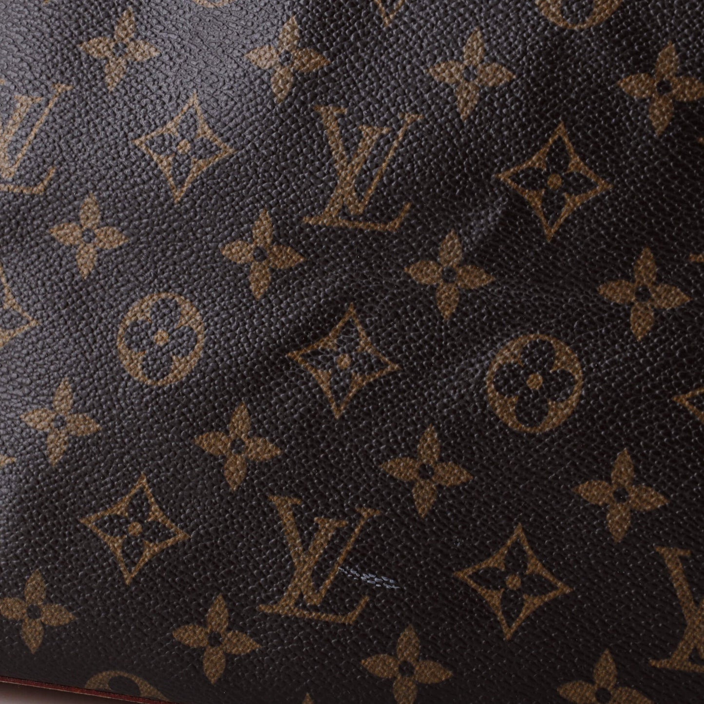 Luco Handbag Monogram Canvas