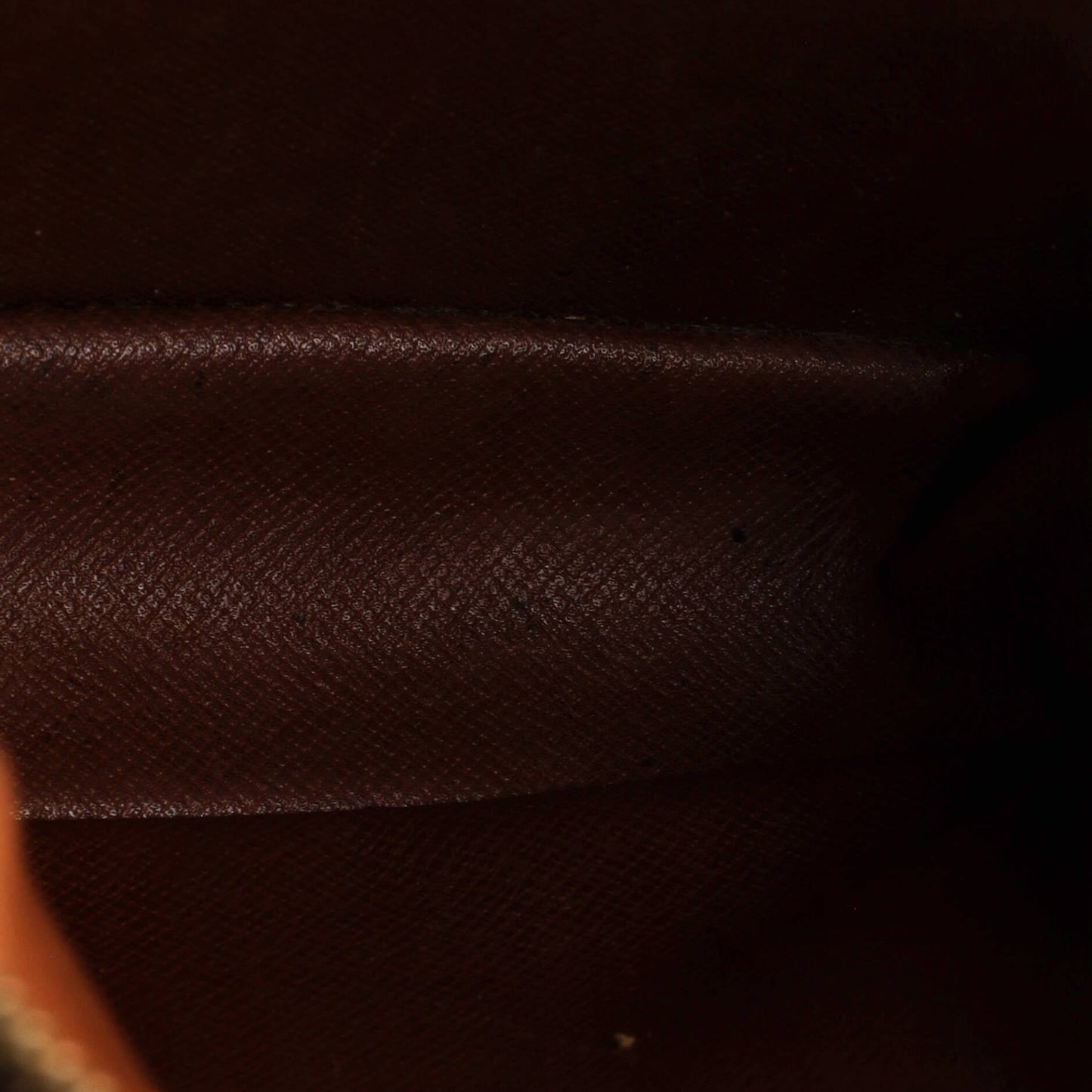 Danube Handbag Monogram Canvas