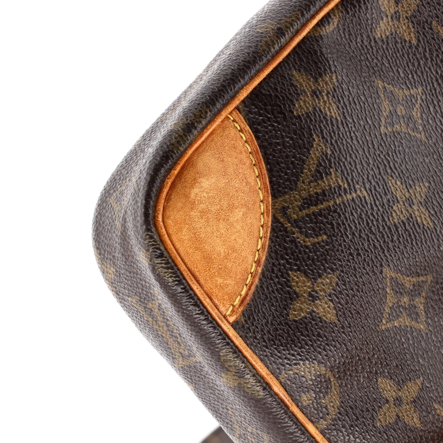 Danube Handbag Monogram Canvas