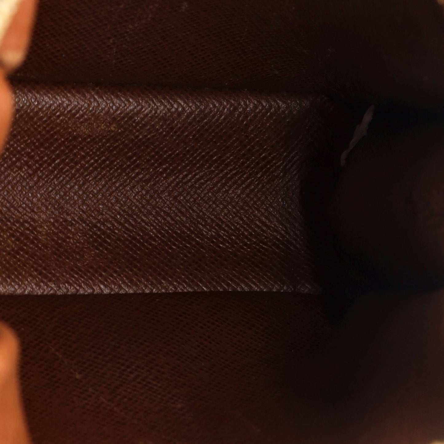 Danube Handbag Monogram Canvas