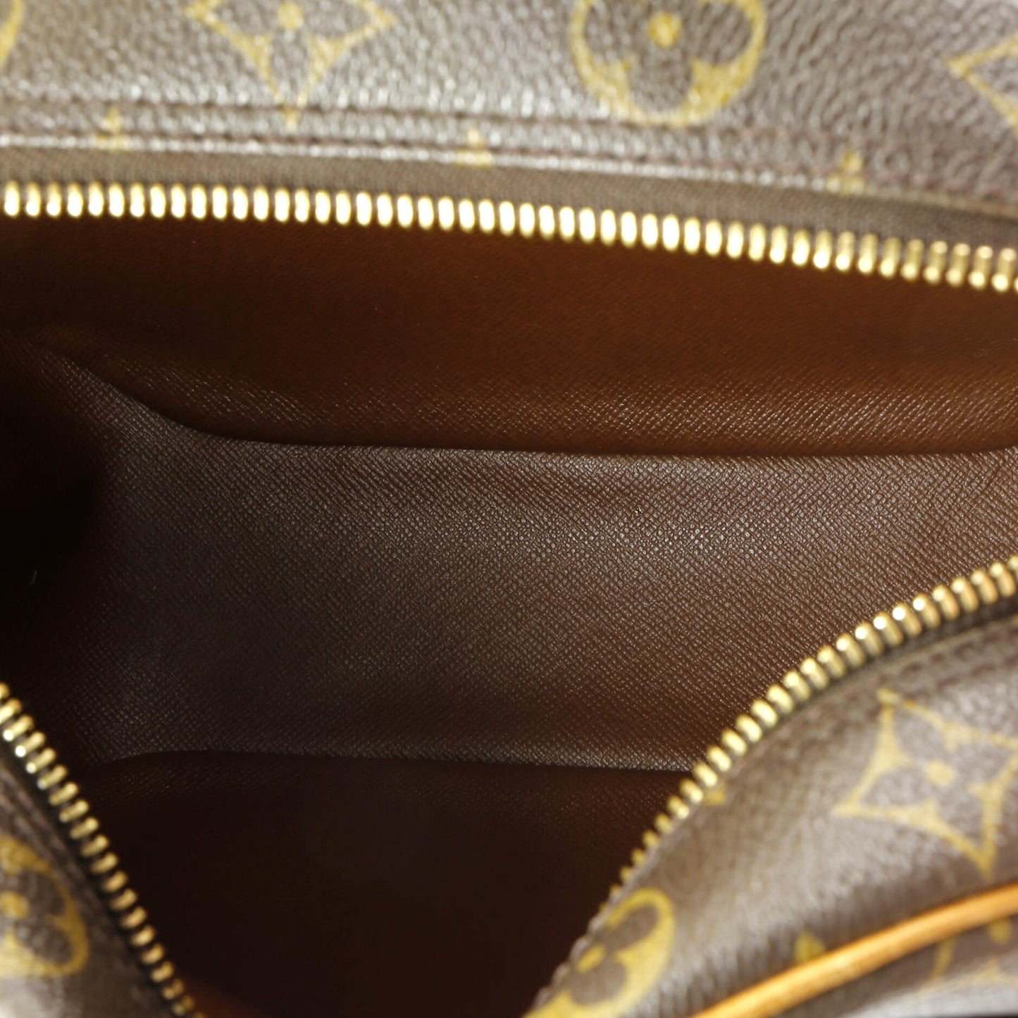 Blois Handbag Monogram Canvas