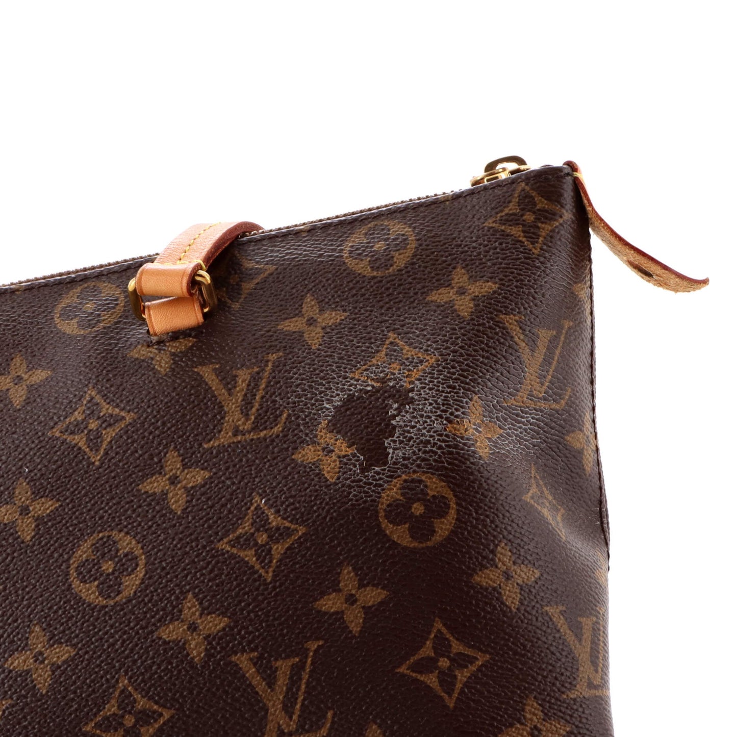 Iena Tote Monogram Canvas MM