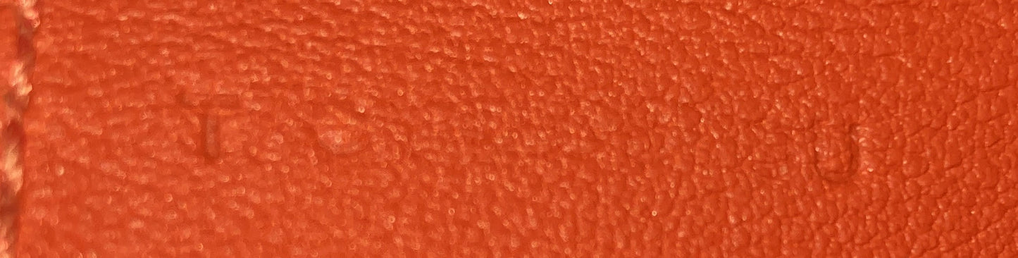 Jige Elan Clutch Swift 29